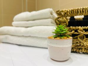 une plante dans une tasse sur une table avec des serviettes dans l'établissement APSTAY City Prime I Parking option I Self Check-in, à Graz