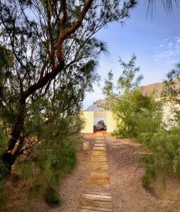 einen Pfad mitten auf einem Feld mit Bäumen in der Unterkunft Apartamento vintage en Playa Famara in Famara