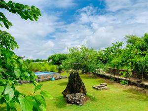 a tree stump sitting in the middle of a yard at Sayar Bagh Jawai in Nāna +26 photos