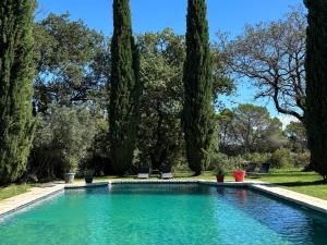 a swimming pool in the middle of a yard with trees at Domaine du Commandeur in Mondragon