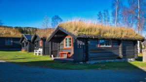 Vestre GausdalにあるRingen Campingの芝生の屋根のログキャビン