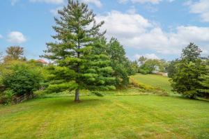 a pine tree in the middle of a field at Valley Ridge Retreat - For 8 in Cincinnati