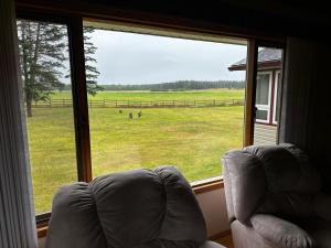 a view of a field from a window with a chair at Cozy Farmhouse B&B Retreat in Williams Lake