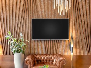 TV/trung tâm giải trí tại Movenpick Resort and Spa Fruske Terme