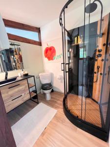 a bathroom with a shower with a toilet in it at Grand Studio Cocon & Spa in Mosnay