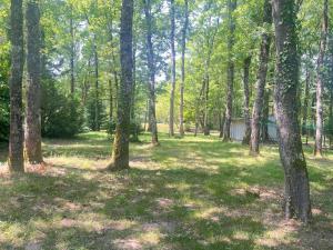 a cabin in the woods with trees at La petite chambre in Mosnay