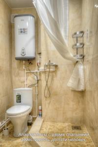 a bathroom with a toilet and a shower in it at Apartments On Sovetskaya in Pskov
