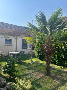 una palmera en el patio de una casa en L'Oseraie, en Moisenay 5 fotos más