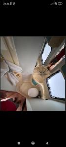 a room with two windows on a boat at HOME & CAR 2x1 in Maspalomas