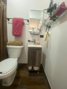 Phòng tắm tại Departamento cerca del Parque Mitras Poniente García