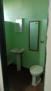 a green bathroom with a toilet and a sink at HOTEL RECANTO DOS BURITIS in Buritizal