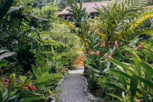 a path through a garden of plants at Casa de Mono Bocas in Big Creek