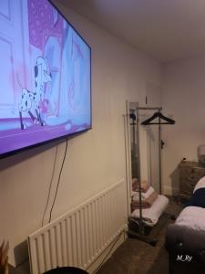 TV a/nebo společenská místnost v ubytování Porcupine Cave