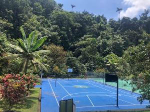 een tennisbaan met bomen op de achtergrond bij Alma y Palma Casa Campestre in Pedro Vicente Maldonado +9 foto's