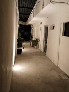 un couloir vide avec des plantes en pot dans un bâtiment dans l'établissement Deptos Modernos Colonia México, à Mérida 62 autres photos