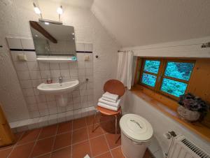 a bathroom with a sink and a toilet and a mirror at Hus in Huddel - Worpswede - Teufelsmoor in Osterholz-Scharmbeck +13 photos