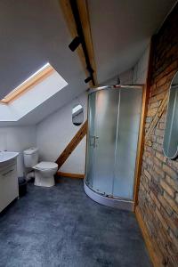 a bathroom with a glass shower and a toilet at Stara Szkoła S7 Noclegi Mazury, Zajezierze 8 14-330 Małdyty in Małdyty +82 photos