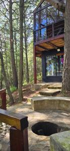 a house in the woods with a tree at La Cabaña 16 Mazamitla in Mazamitla