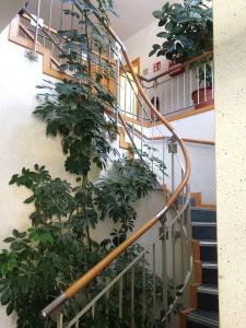 a staircase with a bunch of plants at Hotel zum Sportforum in Blankenburg
