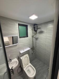 a small bathroom with a toilet and a sink at apartment in hulhumale' in Hulhumale