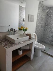 a bathroom with a sink and a toilet at Casa Monarcas - Josefina (with AC) in Guadalajara +14 photos