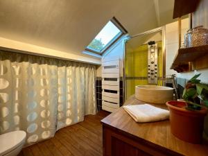 une salle de bain avec un lavabo, une douche et des toilettes dans l'établissement La maison des apprentis sorciers Séjour enchanteur,  93 autres photos