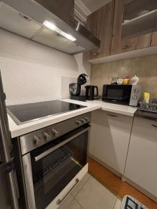 Η κουζίνα ή μικρή κουζίνα στο Apartman Rejjan