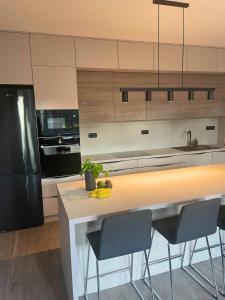 Kuchyň nebo kuchyňský kout v ubytování Moderní apartmán Vila Domus