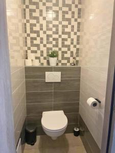 Koupelna v ubytování Moderní apartmán Vila Domus