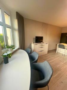 TV a/nebo společenská místnost v ubytování Moderní apartmán Vila Domus