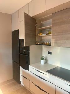 Kuchyň nebo kuchyňský kout v ubytování Moderní apartmán Vila Domus + 5 fotografií