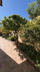 a sidewalk with trees and plants on the side of a building at alaguthe in Olavarría