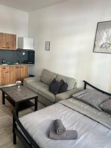 a living room with a bed and a couch at New May Apartment in Staré Mesto