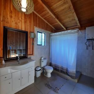a bathroom with a toilet and a sink and a shower at Domos Conguillío - Cabaña en el bosque in Melipeuco