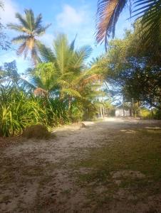 a dirt road with palm trees in the background at Quarto Pé na Areia in Ilhéus