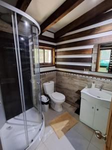 a bathroom with a toilet and a shower and a sink at Domos Conguillío - Cabaña en el bosque in Melipeuco +25 photos