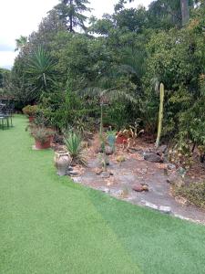 un jardin avec des plantes sur l'herbe dans l'établissement Ai 4 gatti, à Mascalucia 7 autres photos