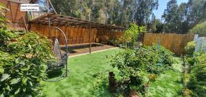 a garden with a chair in the grass at Casas el Canelo in Isla Negra