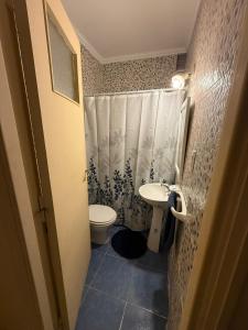 a small bathroom with a toilet and a sink at Vista al mar in Mar del Plata +8 photos