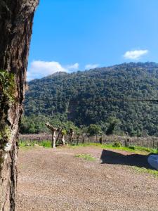 una jirafa parada en la cima de una colina en Recanto do Zeca, en Bento Gonçalves