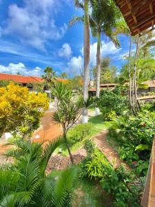 a tropical garden with palm trees and plants at Pousada Praia da Pipa in Pipa