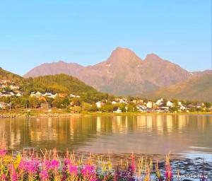 Příroda nedaleko ubytování v soukromí