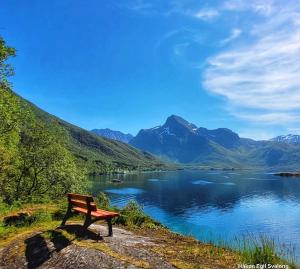 a bench sitting on the side of a lake at Idylliske Sigerfjorden in Sortland