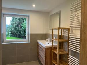 a bathroom with a sink and a window at 4-Steine-Blick, Wohnung 1 in Schöna