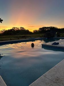 a pool of water with a sunset in the background at Cabaña los Robles in Gowland +41 photos