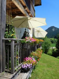 eine Veranda mit Blumen und einem Regenschirm auf einem Haus in der Unterkunft Appartements gosaukamm.com in Gosau