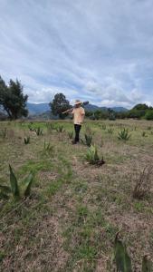 Příroda nedaleko chaty