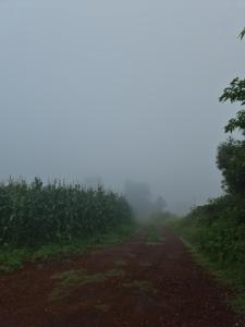 Příroda nedaleko chaty