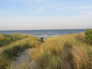 ÅlbækにあるIdyllic Beach Cottage - By Traum Ferienwohnungenの浜辺の高い草原を通る道
