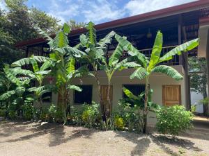 En have udenfor Tekana Retreat